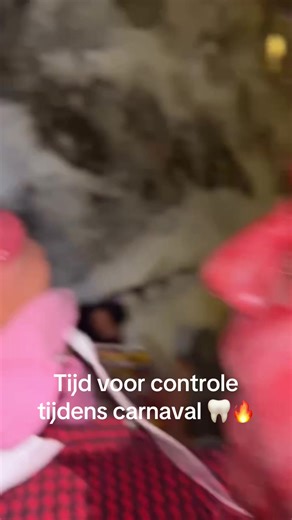 Zoektocht naar de beste tandarts tijdens carnaval