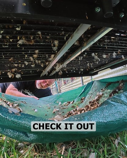 Why we make our chickens WORK 🐔🥚 | Self Sufficient Me