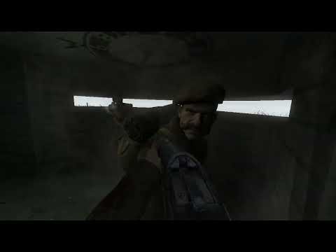 Call of Duty 2 - German Mod (Patch 0.1): Weapon Sway