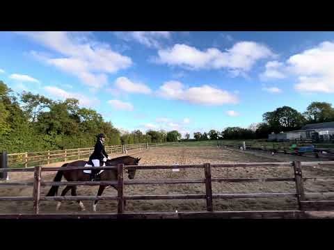 Class 3 - First Level, Jocelyn Feane - Regal Cosmos