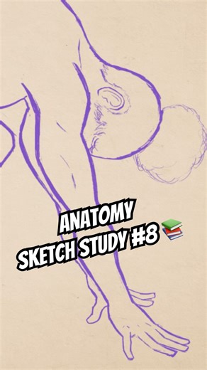 Anatomy sketching #poses #animedrawing #digitalsketch #sketching #sketches #anatomystudy #anatomyart
