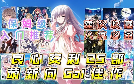【Gal推荐】良心安利25部适合萌新入坑的高质量Galgame佳作！总有一款适合你！