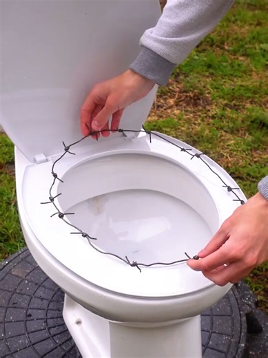 Exploring Toilets with Unique Personalities