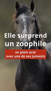 Elle surprend un zoophile... | La Montagne