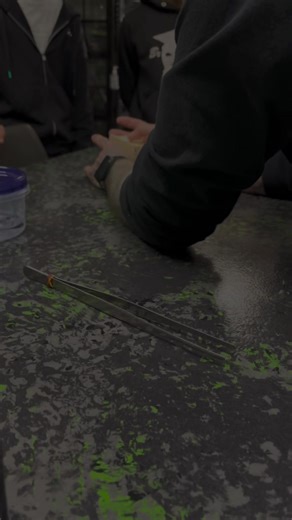 Showcase cult pranks are fun. #spider #joke #nature #havingfunatwork #prank @Showcase Reptiles