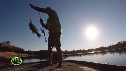 Topwater Fishing as Fall approaches and the Bass begin their migration into the creeks and pockets. This week we are looking at "Reading the Road Signs" to catch more fish with a focus today on line and reel setup. #topwaterfishing #tennesseeriver #TeamOutdoors #nitroboats #largemouthbass Bass Pro Shops Visit North Alabama Nitro Boats Motormate | Timmy Horton Outdoors