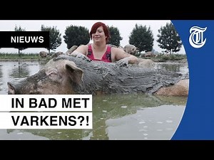 Boerin wordt lekker vies met varkens