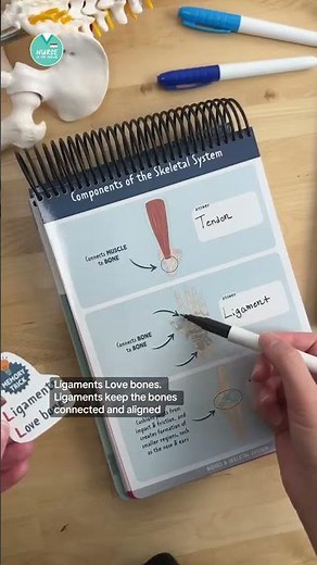 Tendons vs. Ligaments 🦴