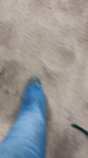 Wouldn’t you show him off 2? 🥵 #barrelhorse #asof #baddy