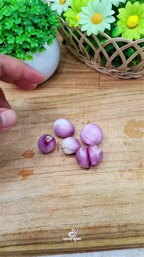 Mangan Lawuh Sak Anane Wae: Resep Masakan Rumahan