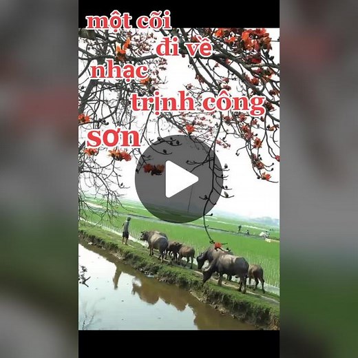 Exploring Rustic Landscapes and Traditional Rural Life