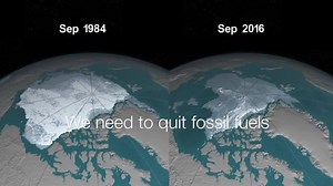 Take two minutes from your day. Have your say in court. In a bid for more profit Norwegian state-owned oil company StatOil wants to drill deeper into the Arctic, endangering the fragile habitat of already threatened animal species. We need your voice. Have your name submitted in a court of law as Greenpeace and Nature and Youth hold Norway’s politicians accountable for their international climate commitments. This world is yours to protect, not theirs to exploit. | Greenpeace Australia Pacific