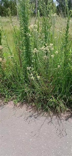 Road Trip to Key West: Your Ultimate Adventure Guide