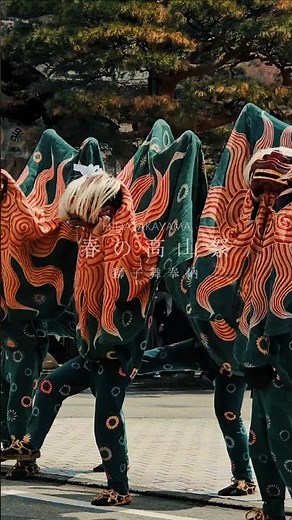 伝統の鼓動が響く、高山祭の獅子舞。勢いのある動き、力強くも繊細な舞、笛や太鼓の音色とともに町に響く獅子の咆哮、そのすべてが観客の心を震わせます。世代を越え受け継がれる誇りそのものです。#飛騨高山