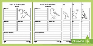 Birds in Your Garden Fact File Worksheet
