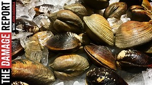 25K views · 58 reactions | Eat shellfish while you can, because they're not going to be around much longer. John Iadarola and Emma Vigeland break it down on The Damage Report. | The Damage Report | Facebook