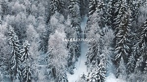 Looking back at the MARVELOUS winter we've had here in the Arctic while waiting for summer to arrive. | Swedish Lapland