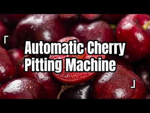 Cherry Pitting Machine for Fruit Processing