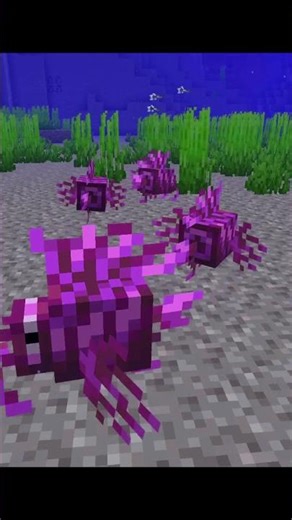 I stopped time in Minecraft #timestop #hacks #viral