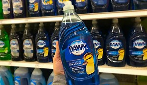 Can I Wash My RV with Dawn Dish Soap?