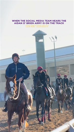 We're in position. 🫡 #BC25 | Breeders' Cup World Championships