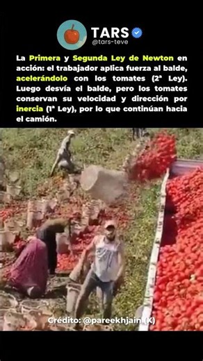 Primera y Segunda Ley de Newton en Acción 🍅