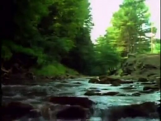 Dailymotion