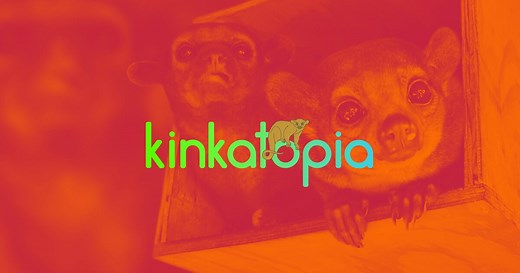 What is a Kinkajou? - Kinkatopia Sanctuary in Florida
