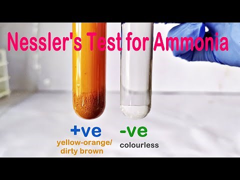 Nessler's Test Practical Experiment