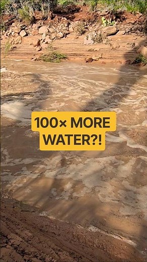 Virgin River at 100× Normal Flow?! 😳🌊 | Zion National Park