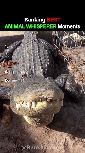 Ranking Best Animal Whisperer Moments