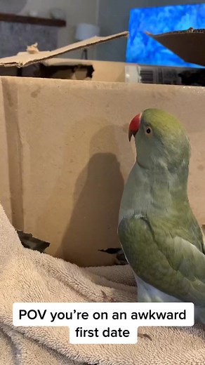 Anyone else have an awkward first date  188 https://amzn.to/4m5nHnq #firstdate #datin #awkward | Purely Positive | Facebook