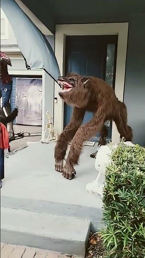 Halloween Werewolves Themed House #halloweenhouse #halloweendecorations