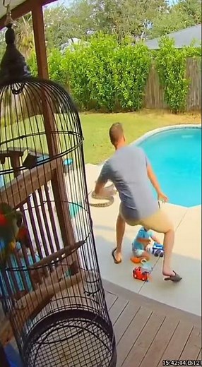 Parrot Saves Toddler From Python!