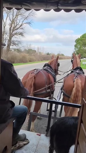 On vous fait visiter. Allez let’s go..