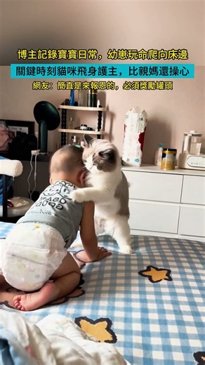 博主記錄寶寶日常，幼崽玩命爬向床邊，關鍵時刻貓咪飛身護主，比親媽還操心 #大熱門 #猫咪