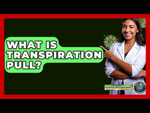 What Is Transpiration Pull? - Earth Science Answers