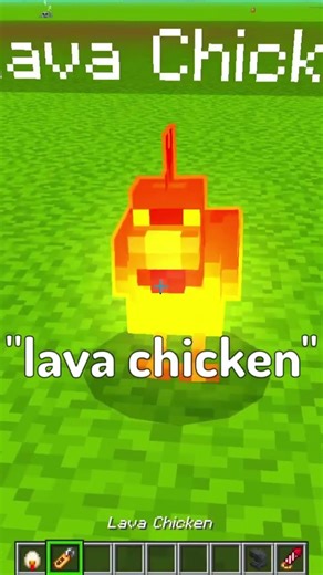 Actions & Stuff Name Tag Tricks (Chickens) #shorts #minecraft