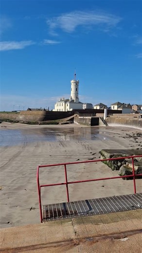 SCHNAUZERS SIGNAL TOWER 슈나우저 신호탑 #슈나우저 #schnauzer #개 #dog #signal #신호탑 #등대 #해변 #seaside #lighthouse