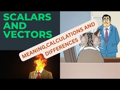 Understanding Scalars And Vector Quantities Explained