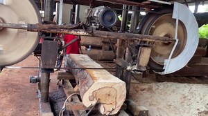 Cutting Timber at Lightning Speed: Inside the Giant Redwood Factory with a Thousand-Year-Old Machine