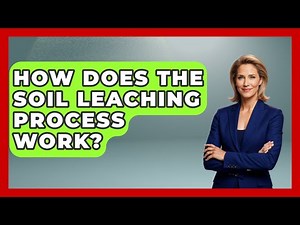 How Does The Soil Leaching Process Work? - The Geography Atlas