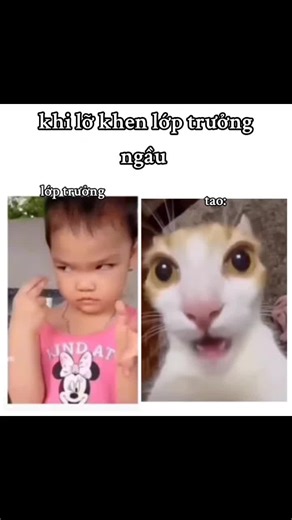khi lỡ khen lớp trưởng ngầu