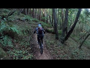 Wilder Ranch - Enchanted Loop Trail