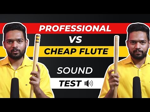 Flute Comparison Sound Test | cheap flute vs Professional Flute
