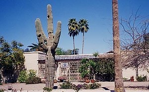 Thinking Out Loud: Obituary for an ancient friend