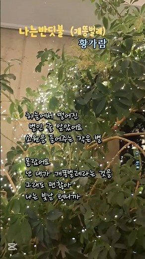#나는반딧불#황가람#개똥벌레