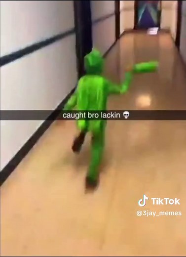 Gecko Jokes and Low-Quality Memes Compilation