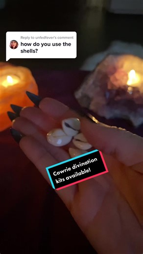 Cowrie Shells Divination Guide: Ancient Tools for Modern Witchcraft