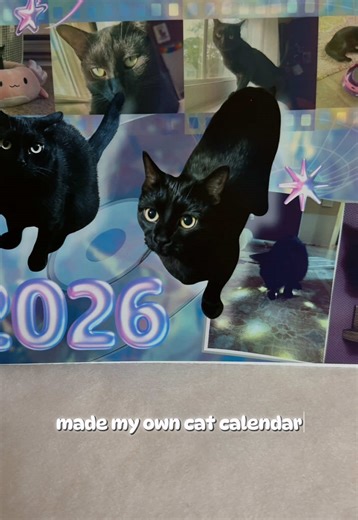 Create Your Own Cat Calendar with Canva